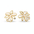 NYH - Aros - Oro Laminado 14k