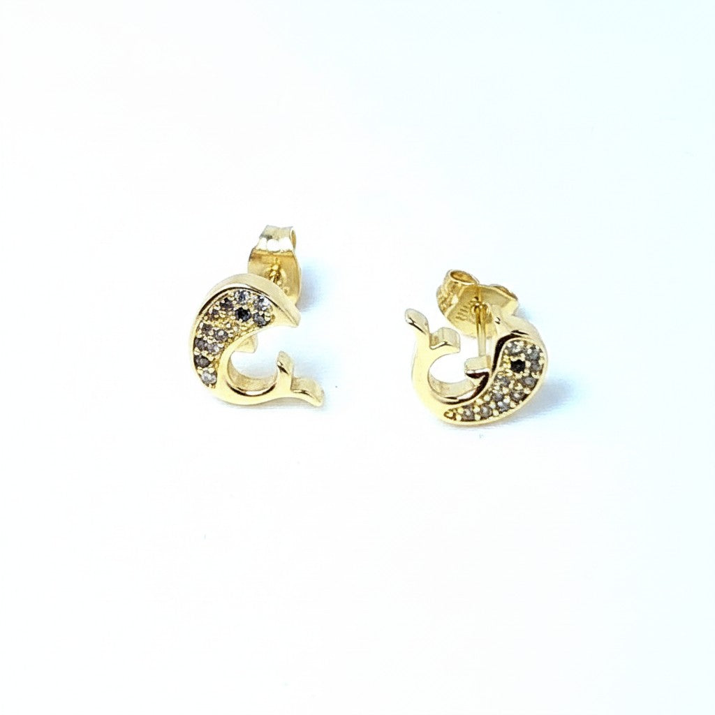 CM - Aros - Oro Laminado 14k