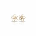 NYH - Aros - Oro Laminado 14k