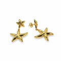 HUANG - Aros - Oro Laminado 18k