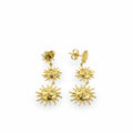 HUANG - Aros - Oro Laminado 18k