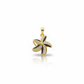 HUANG - Dijes - Oro Laminado 14k