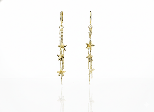 CM - Aros - Oro Laminado 14k